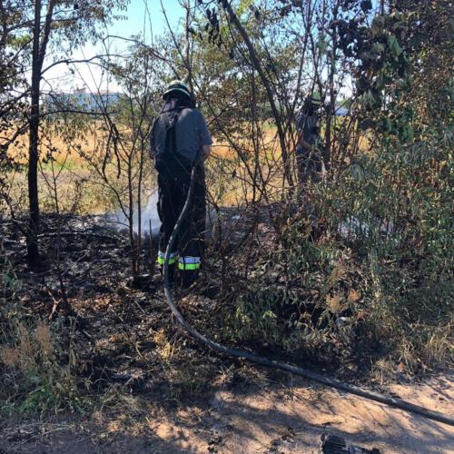 115779756_3113045608803465_7196352686474831237_o