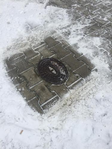 49643107_1942254552549249_6395914887448494080_n