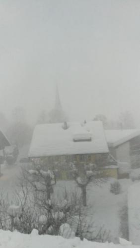 49840204_1965459400228764_521321313617313792_n