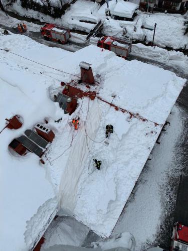 49864762_1965459403562097_9110601335421534208_n