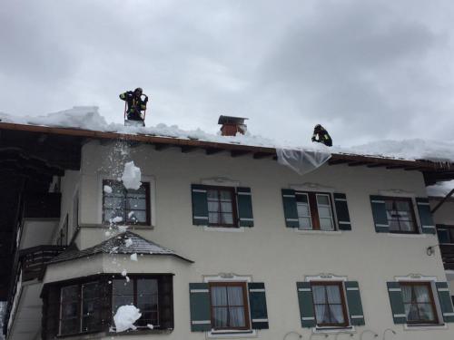 50414413_1966898606751510_1357030951946813440_n