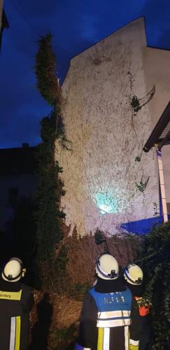 53523397_2048341688607201_6103105693907156992_n