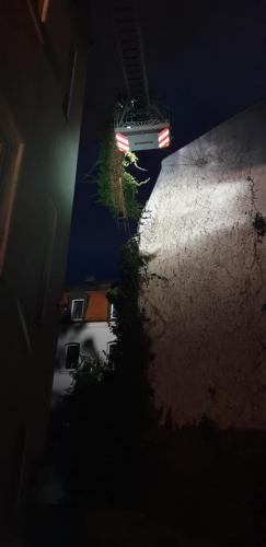 53692851_2048341675273869_7022631795111755776_n