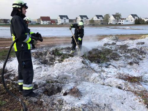 56828034_2095280203913349_4205269360744333312_n