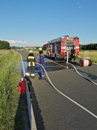 64457409_2196493933791975_4257748101550309376_n