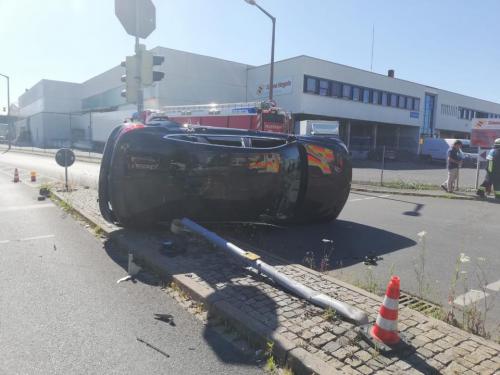 66269729_2231584063616295_2369022416224518144_n